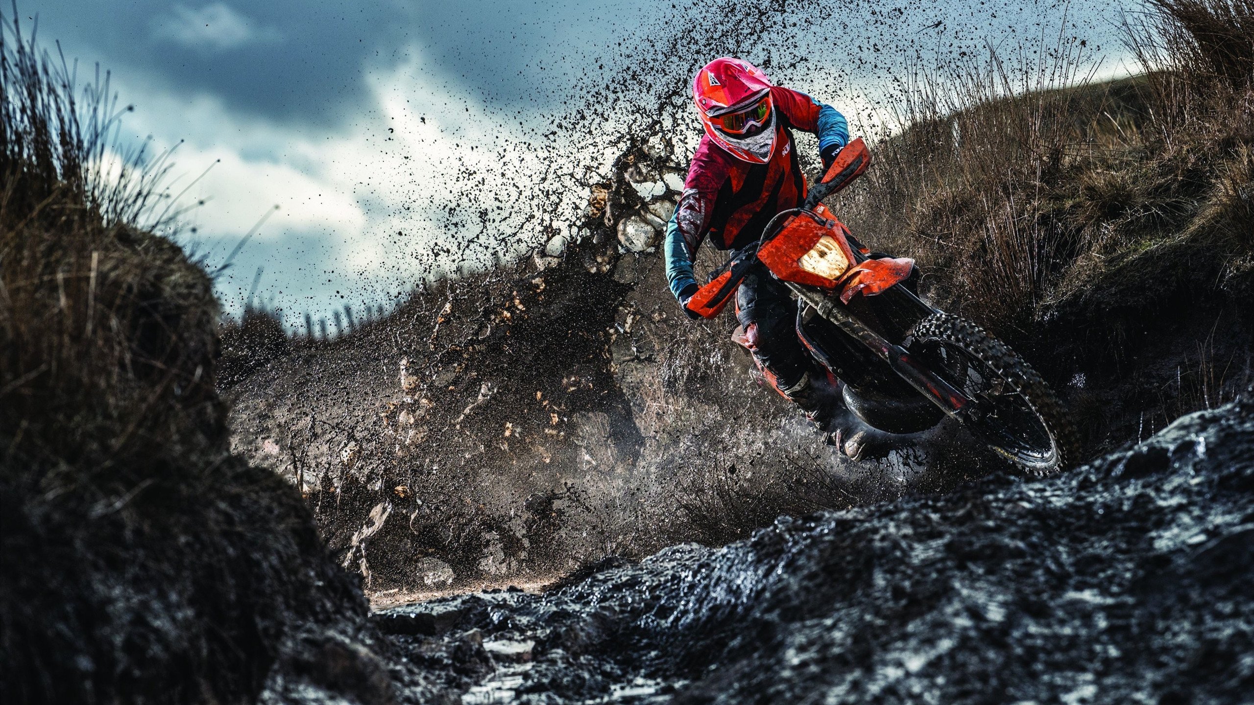 当迈阿密的海浪遇见天山雪莲，东契奇在时空裂缝中诠释何为篮球主宰